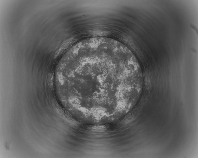 X0000103130357200809121737