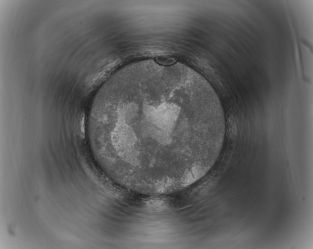 X0000103130358200809121737