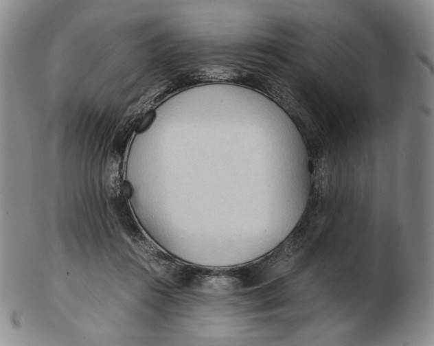 X0000103130360200809121737