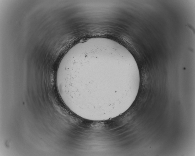 X0000103130362200809121737