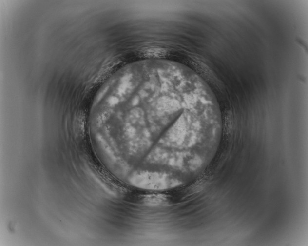 X0000103130363200809121737