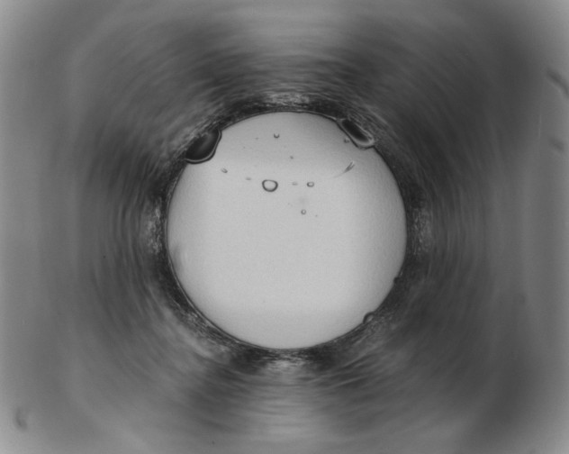 X0000103130364200809121737