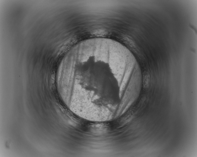 X0000103130365200809121737