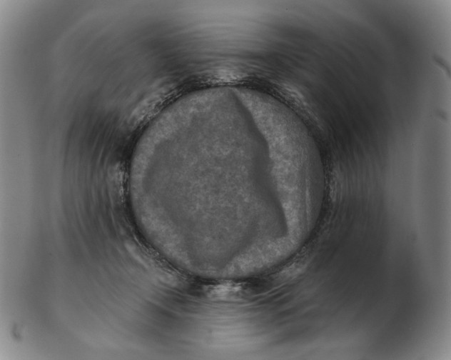 X0000103130366200809121737
