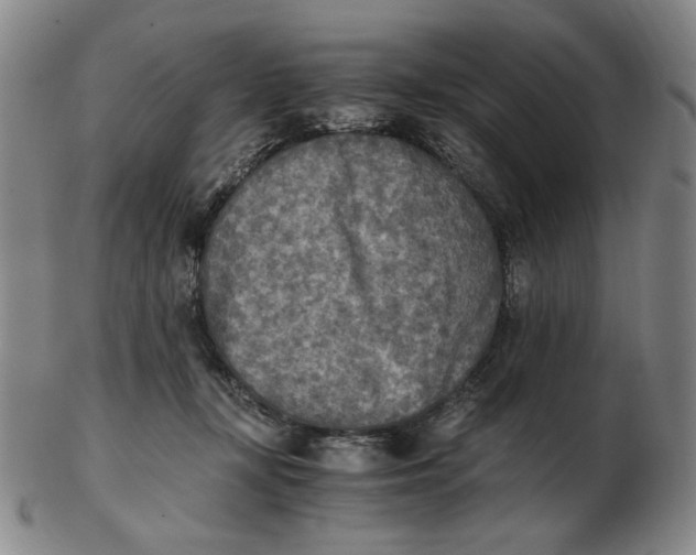 X0000103130367200809121737
