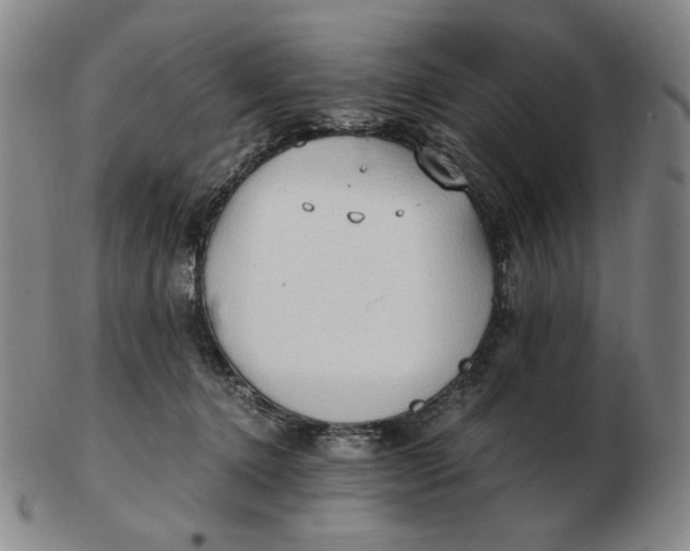 X0000103130368200809121737