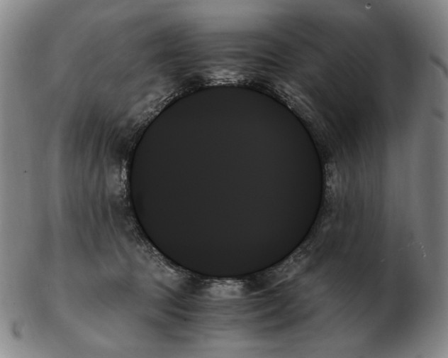 X0000103130369200809121737