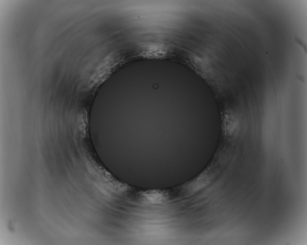 X0000103130370200809121737