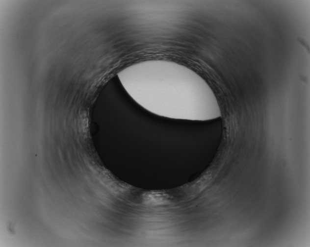 X0000103130372200809121737