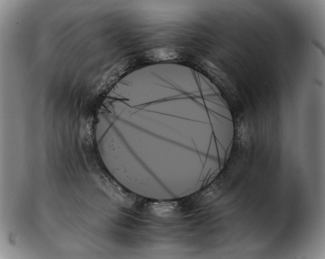 X0000103130373200809121737