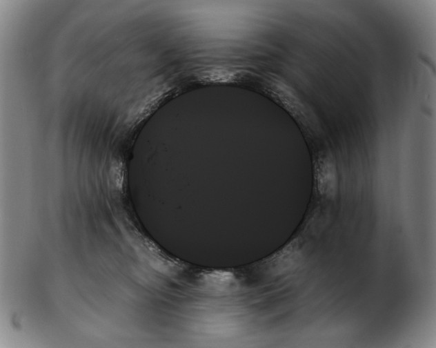 X0000103130374200809121737