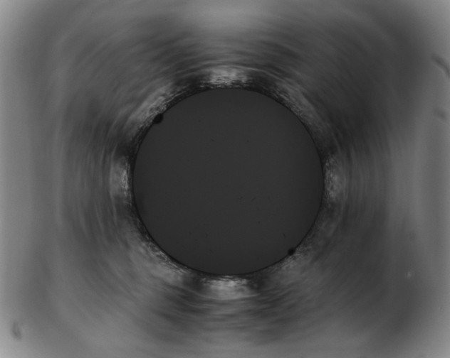 X0000103130375200809121737