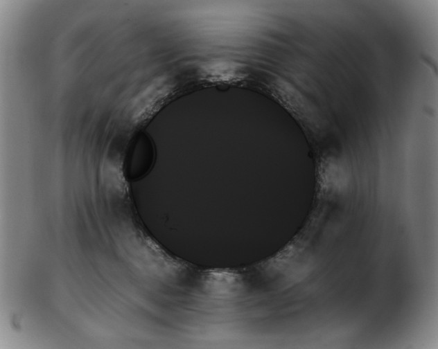 X0000103130376200809121737