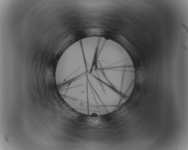 X0000103130377200809121737