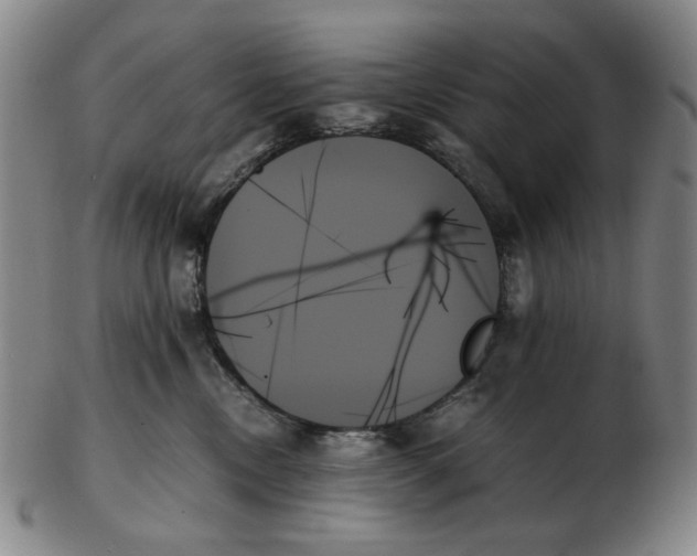 X0000103130378200809121737