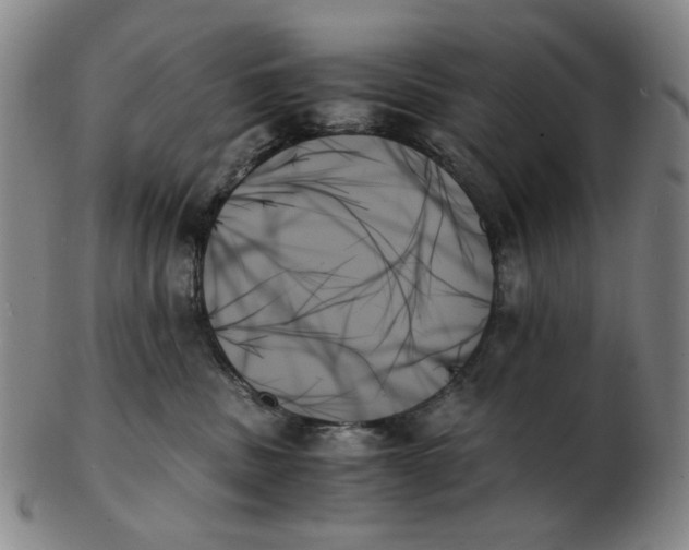 X0000103130379200809121737