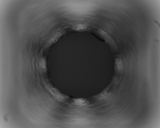 X0000103130380200809121737