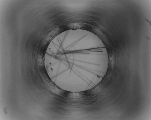 X0000103130381200809121737