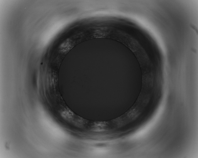 X0000103130382200809121737