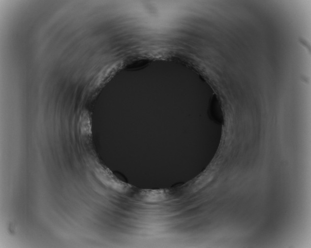 X0000103130384200809121737