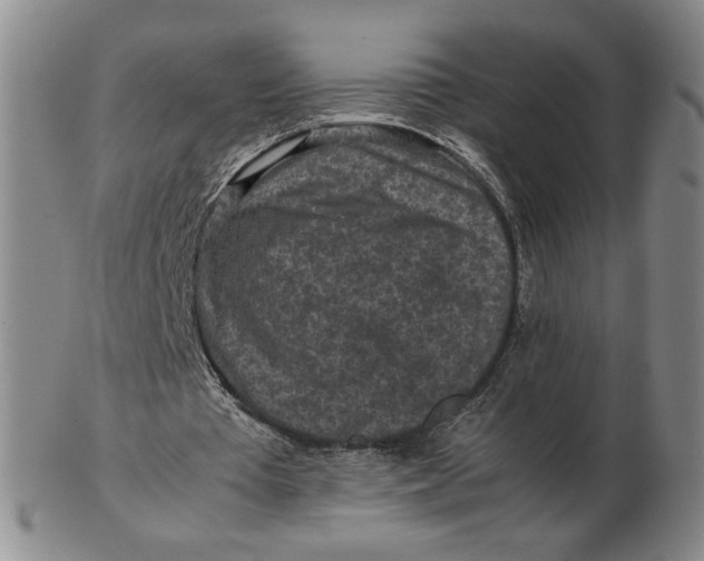 X0000103130385200809121736