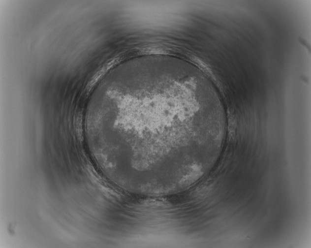 X0000103130386200809121736