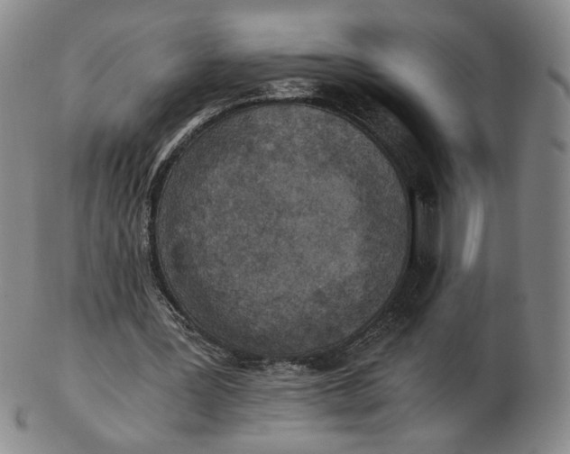 X0000103130387200809121736