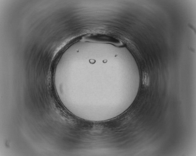 X0000103130388200809121736