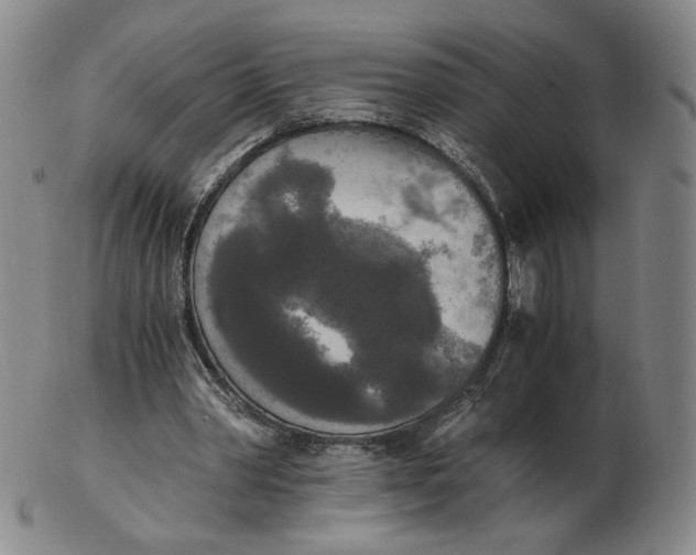 X0000103130390200809121736