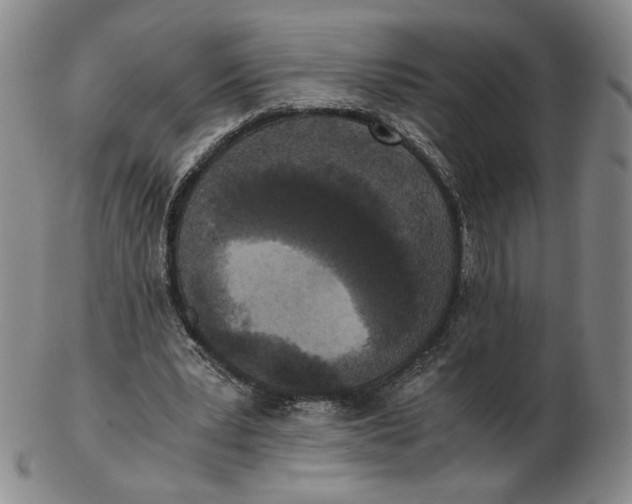 X0000103130391200809121736