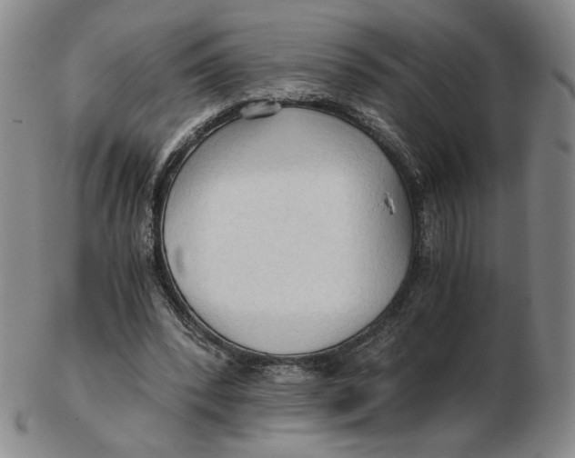 X0000103130392200809121736