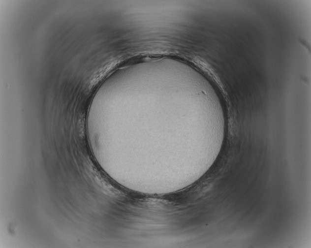 X0000103130393200809121736