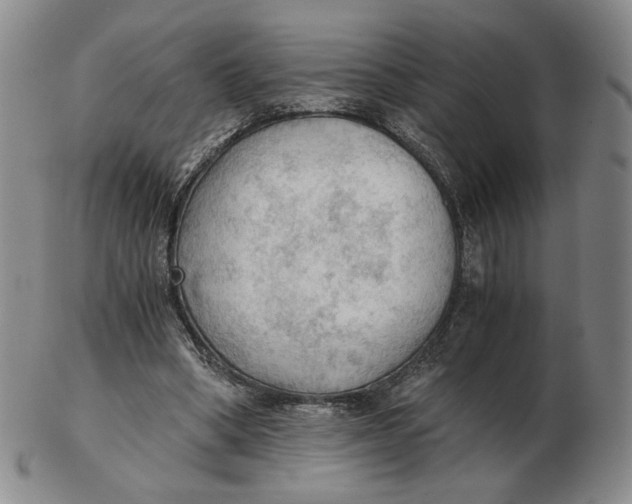 X0000103130394200809121736