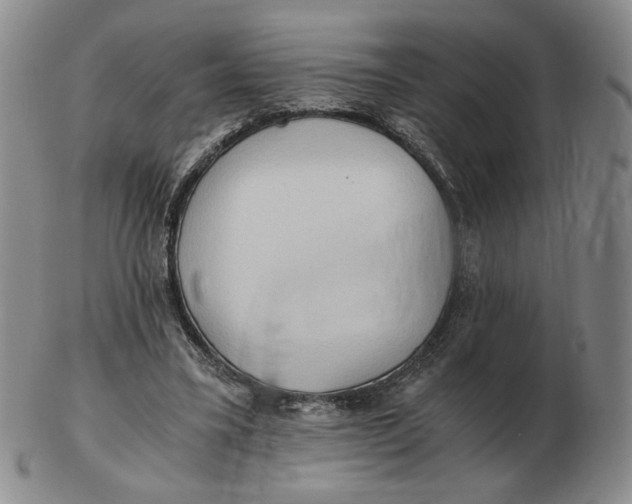 X0000103130395200809121736