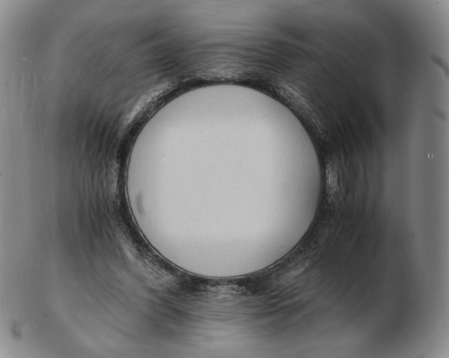 X0000103130396200809121736