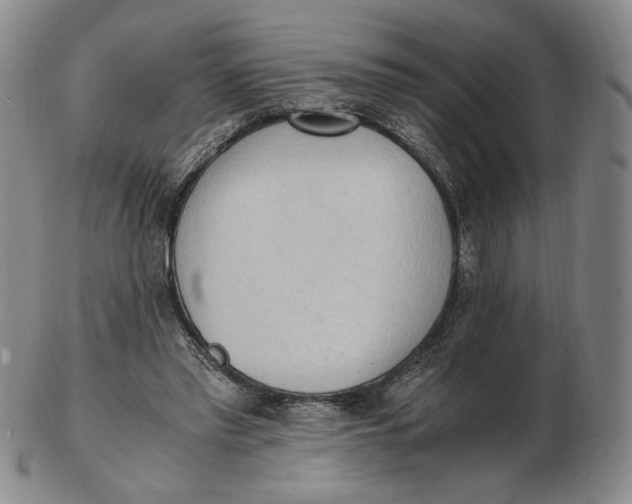 X0000103130397200809121736