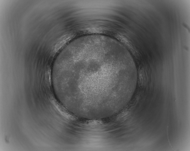 X0000103130398200809121736