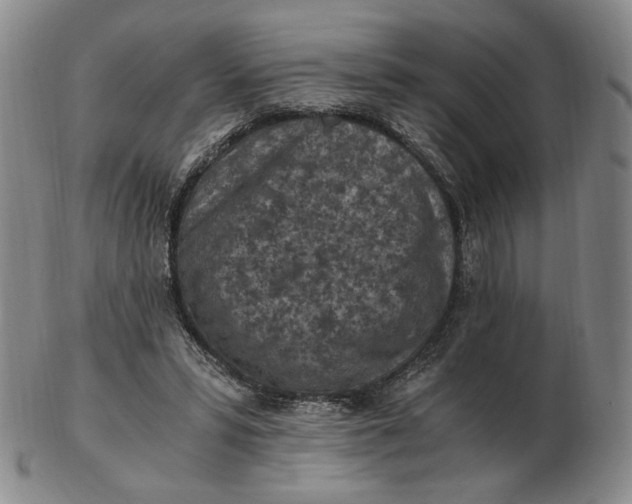 X0000103130399200809121736
