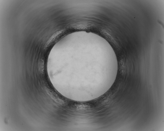 X0000103130400200809121736