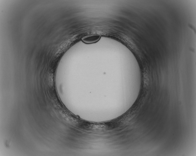 X0000103130401200809121736