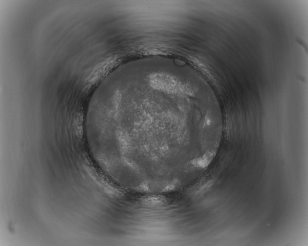 X0000103130402200809121736