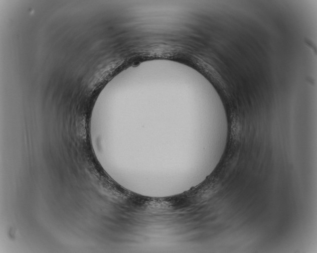 X0000103130403200809121736