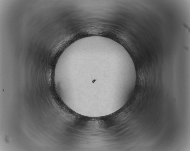 X0000103130404200809121736