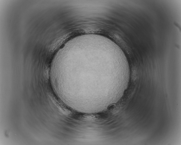 X0000103130405200809121736
