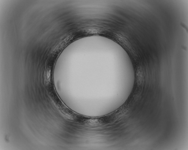 X0000103130406200809121736