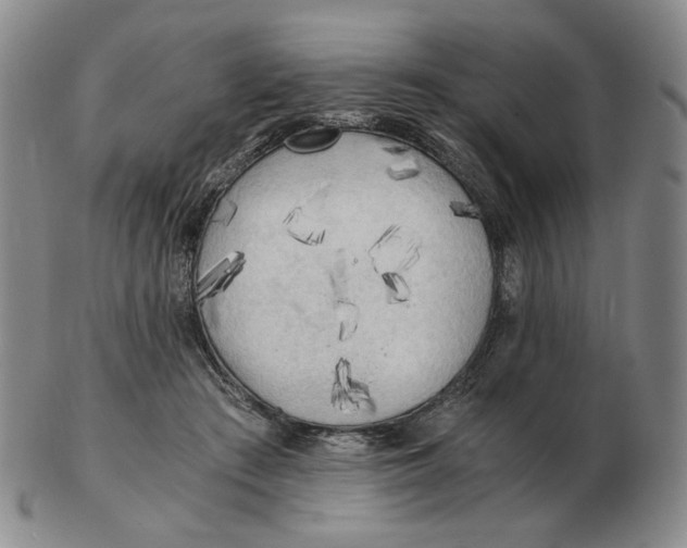 X0000103130409200809121736