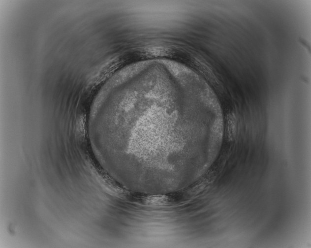 X0000103130410200809121736