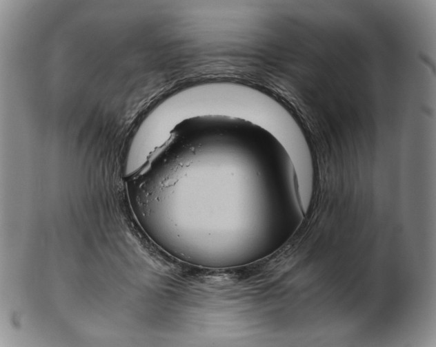 X0000103130411200809121736