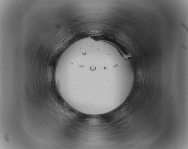 X0000103130412200809121736