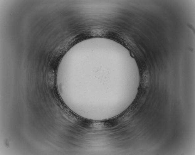 X0000103130413200809121736